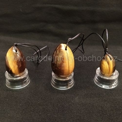 Vajíčko Tagří oko sada