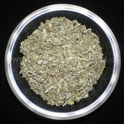 Šalvěj lékařská